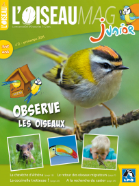 Couverture de l'OISEAU MAG JUNIOR n°2